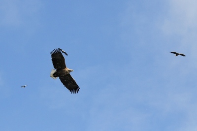 IMG_5946.jpg