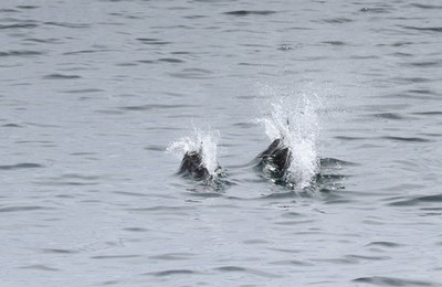 IMG_5980.jpg