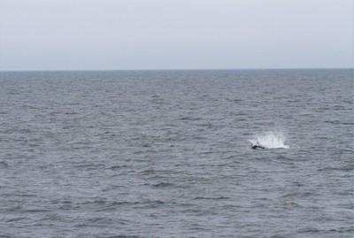 IMG_6003.jpg
