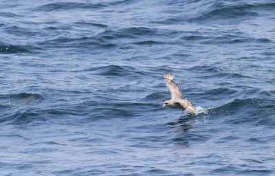 IMG_6071.jpg