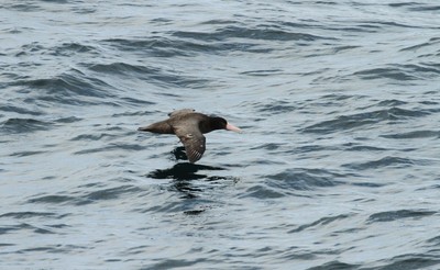 IMG_6083.jpg