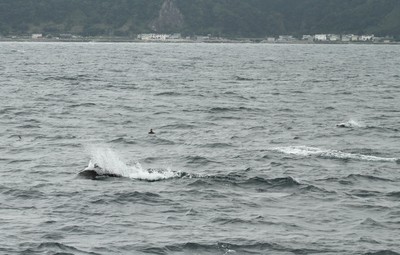 IMG_6124.jpg