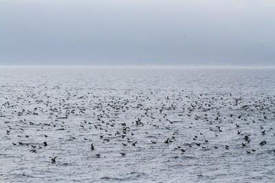 IMG_6142.jpg