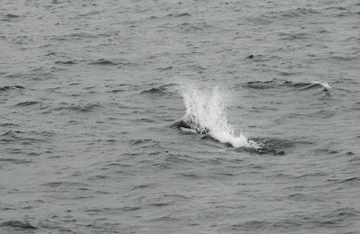 IMG_6163.jpg