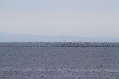 IMG_6182.jpg