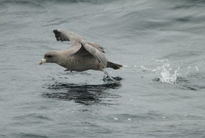 IMG_6289.jpg