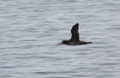 IMG_6292.jpg