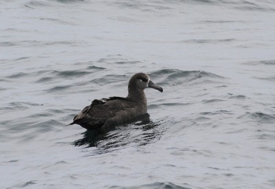 IMG_6306.jpg