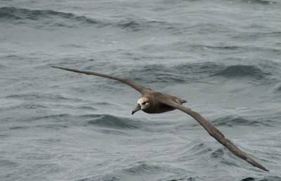 IMG_6323.jpg
