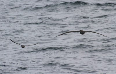 IMG_6331.jpg