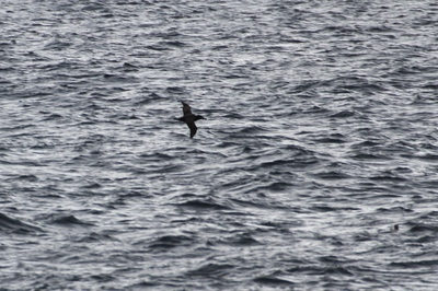 IMG_6352.jpg