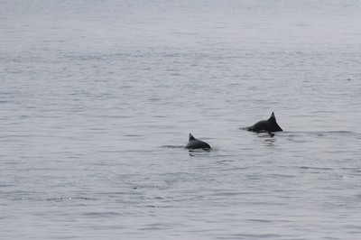 IMG_6425.jpg