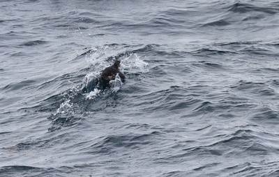 IMG_6468.jpg