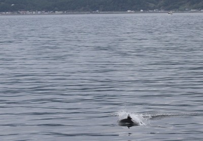 IMG_6486.jpg