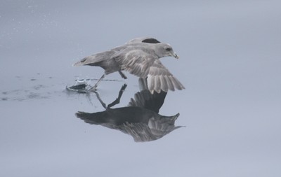 IMG_6567.jpg