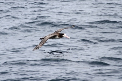 IMG_6586.jpg