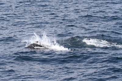 IMG_6628.jpg