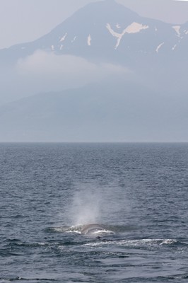IMG_6672.jpg