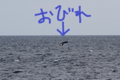 IMG_6695.jpg