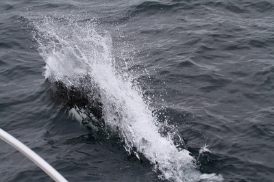 IMG_6718.jpg