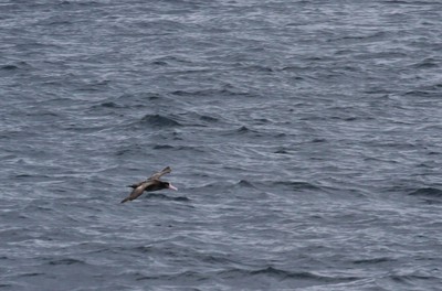 IMG_6725.jpg