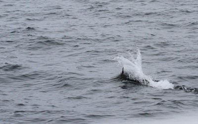 IMG_6764.jpg