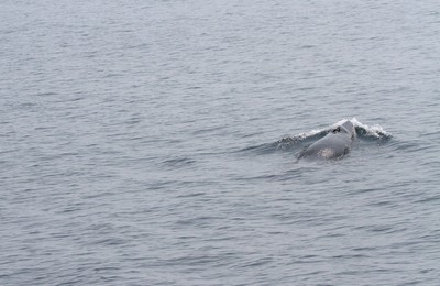 IMG_6834.jpg