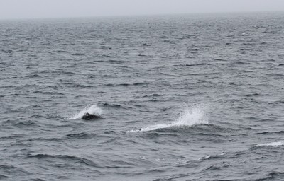 IMG_6869.jpg