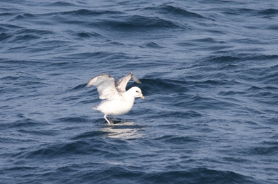IMG_6869.jpg