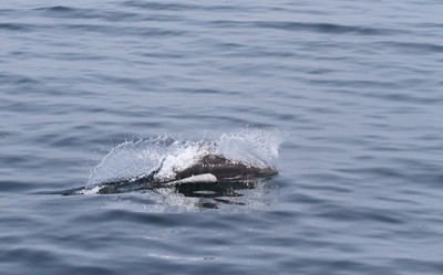 IMG_6889.jpg