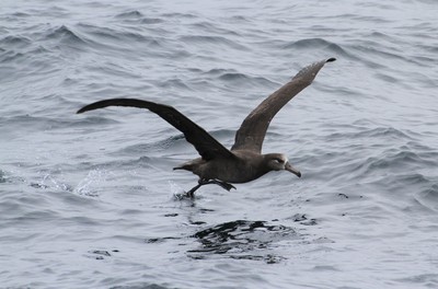 IMG_6931.jpg