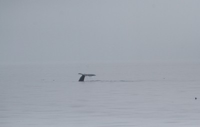 IMG_6939.jpg