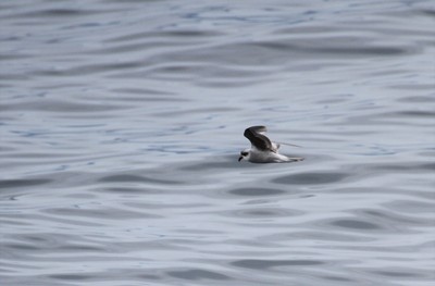 IMG_7074.jpg