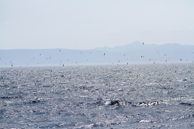 IMG_7077.jpg