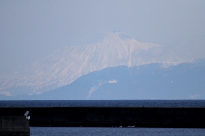 IMG_7118.jpg