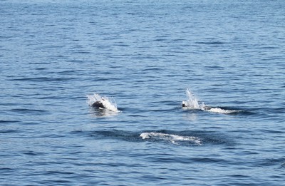 IMG_7172.jpg