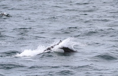 IMG_7195.jpg