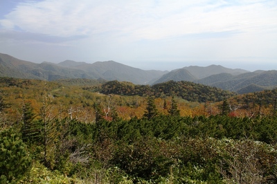 IMG_7266.jpg