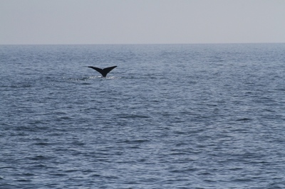 IMG_7280.jpg