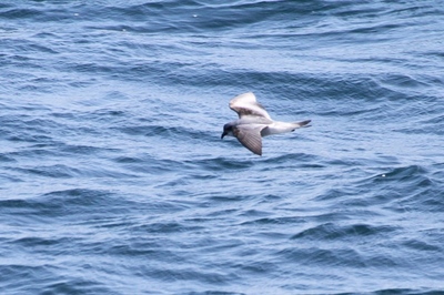 IMG_7291.jpg