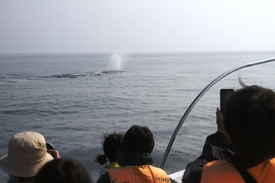 IMG_7322.jpg
