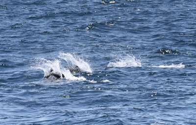 IMG_7360.jpg