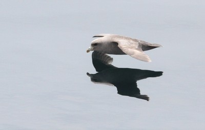 IMG_7363.jpg