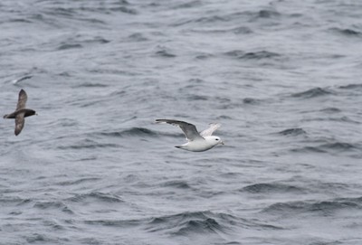 IMG_7372.jpg
