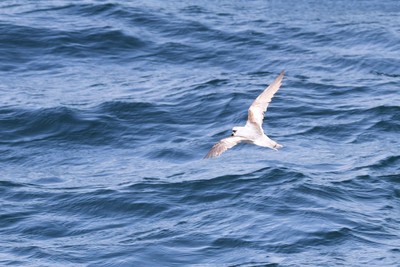 IMG_7529.jpg