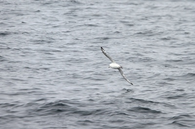 IMG_7670.jpg