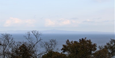 IMG_7675.jpg