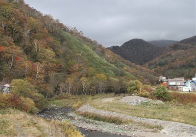 IMG_7677.jpg