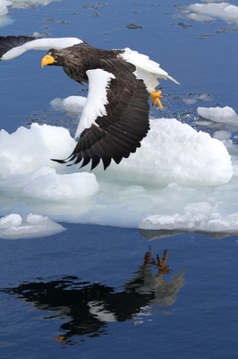 IMG_7687.jpg