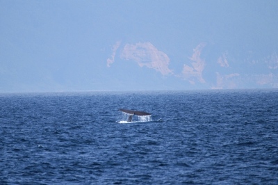 IMG_7739.jpg